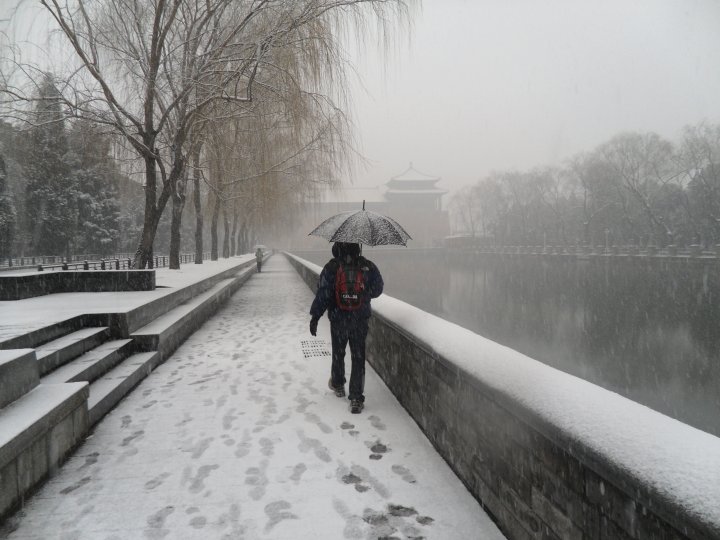 _3-taro-is-the-snowy-forbidden-city.jpg